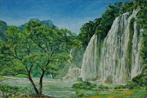 Wasserfall 2301, aus dem Gebirge mit Baum im Vordergrund